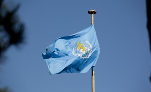 World_Health_Organization_Flag