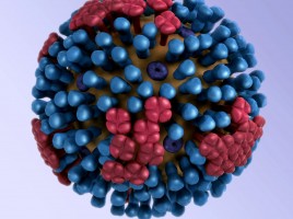 3 Dimensional model of influenza virus 3d graphical representati